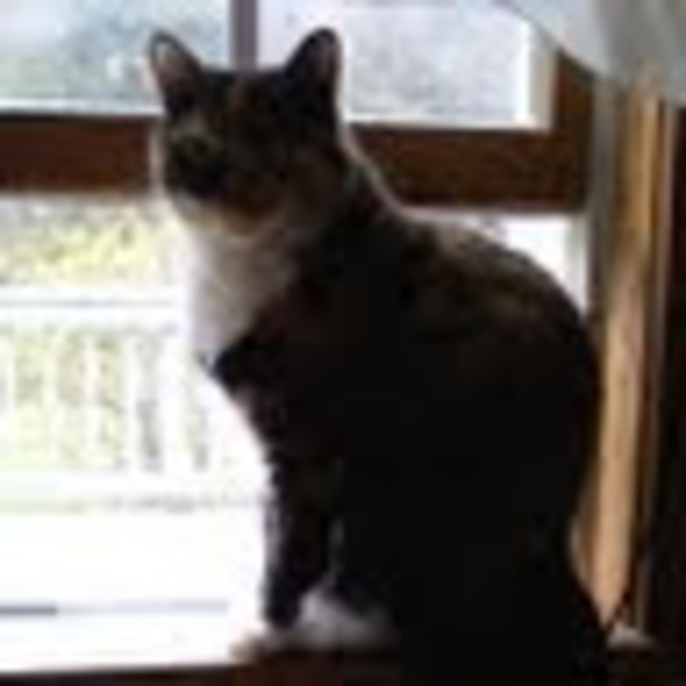 Meet your Posher, Valerie